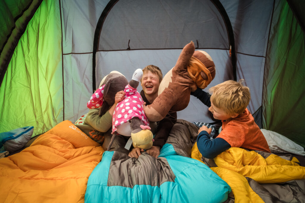 (c) Backyard Travel Family 3348