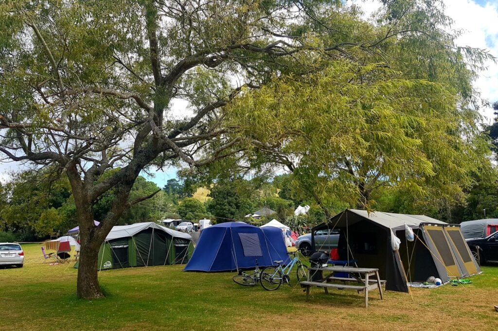 kiwi camping kauri coast top 10 dog friendly