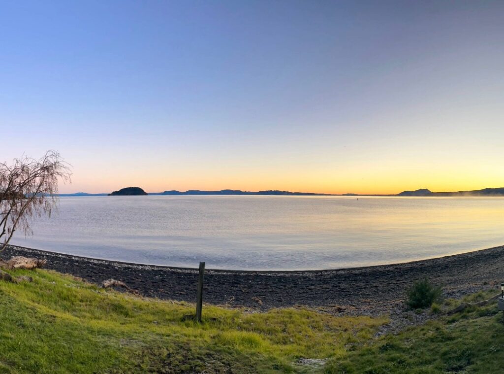 motutere bay top 10 dog friendly