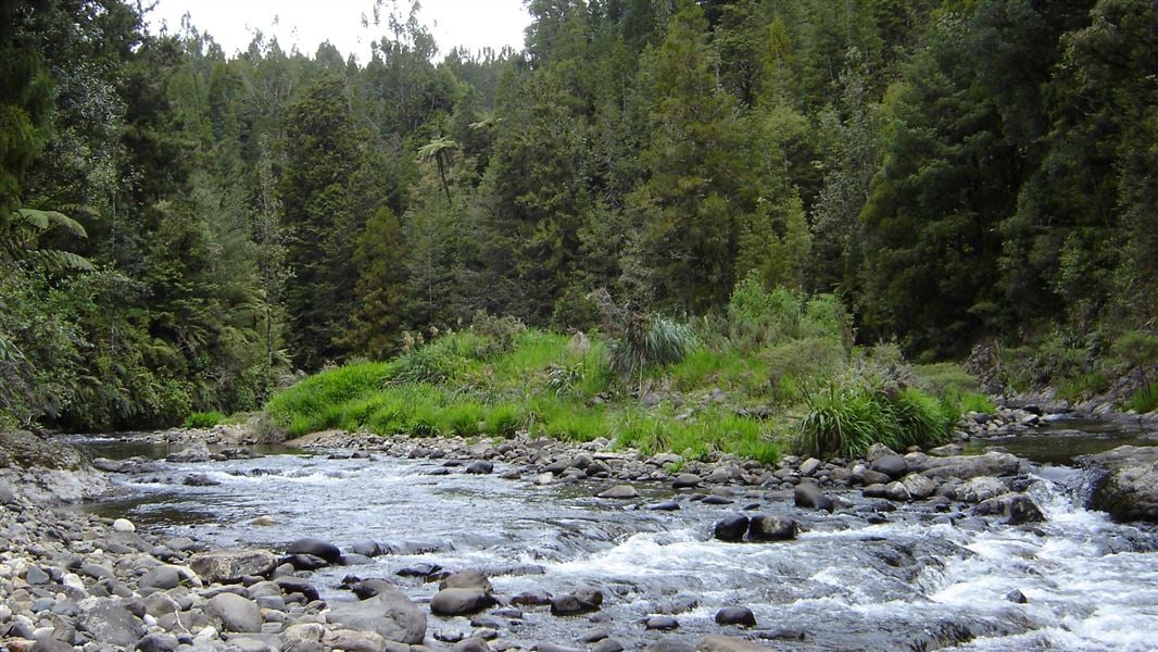 waitewheta stream hero