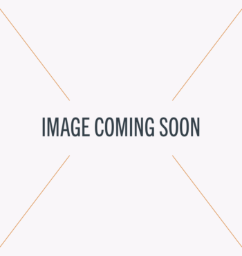 kiwi camping image coming soon